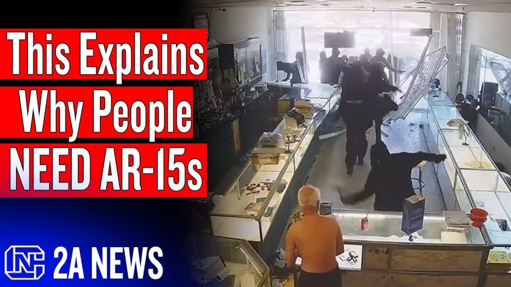 The One Video That Explains Why People Need AR-15s