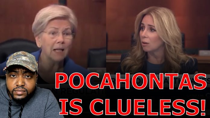 Elizabeth Warren LOSES IT As CNBC Host Schools Her On Why She Doesn't Know What She Is Talking About